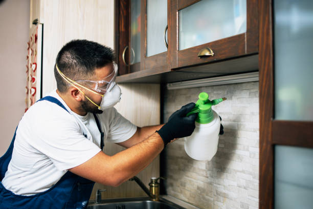 Flea Control Services in Sisco Heights, WA