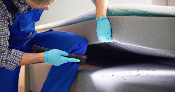 Best Termite Control Services  in Sisco Heights, WA