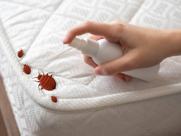 Pest Control for Restaurants in Sisco Heights, WA