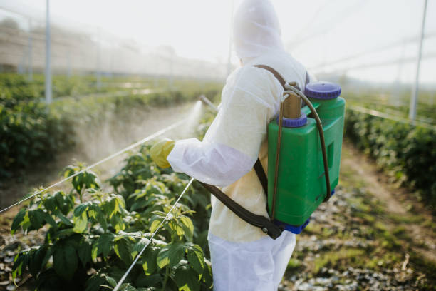 Best Pest Control Near Me  in Sisco Heights, WA